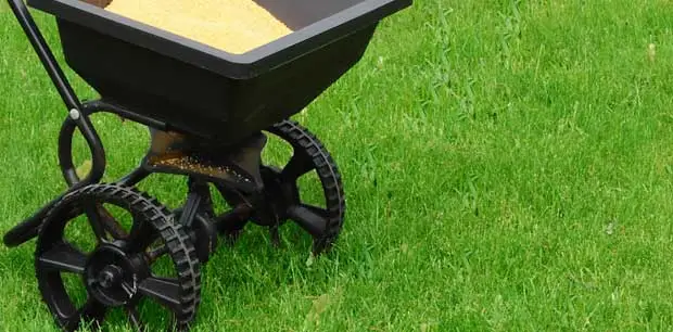 Emerald Outdoor, LLC fertilizer spreader sitting in a lawn at a home in .