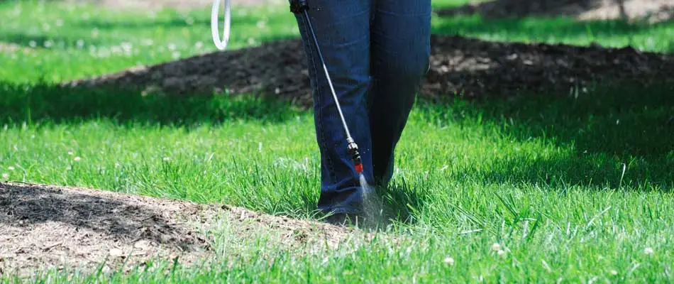 Emerald Outdoor, LLC spraying a lawn for weeds and treating it with fertilizer at a home in Clarklake.