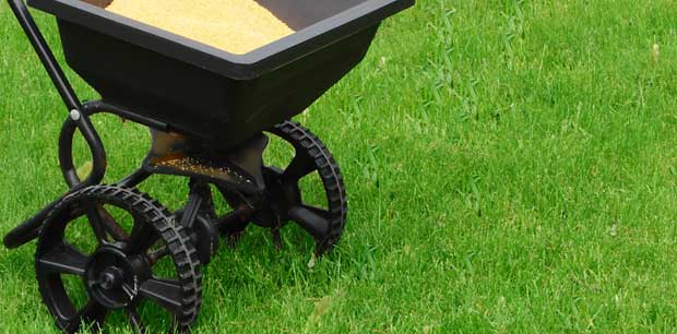 Emerald Outdoor, LLC fertilizer spreader sitting in a lawn at a home in Hanover.